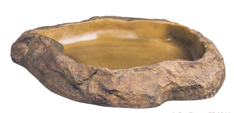 Exo Terra Feeding Dish, Medium - PawsPlanet Australia