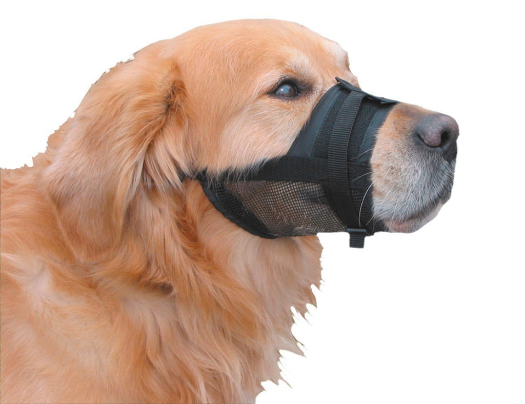 Nobby Adjustable Nylon Muzzle for Dog, LG, Black - PawsPlanet Australia