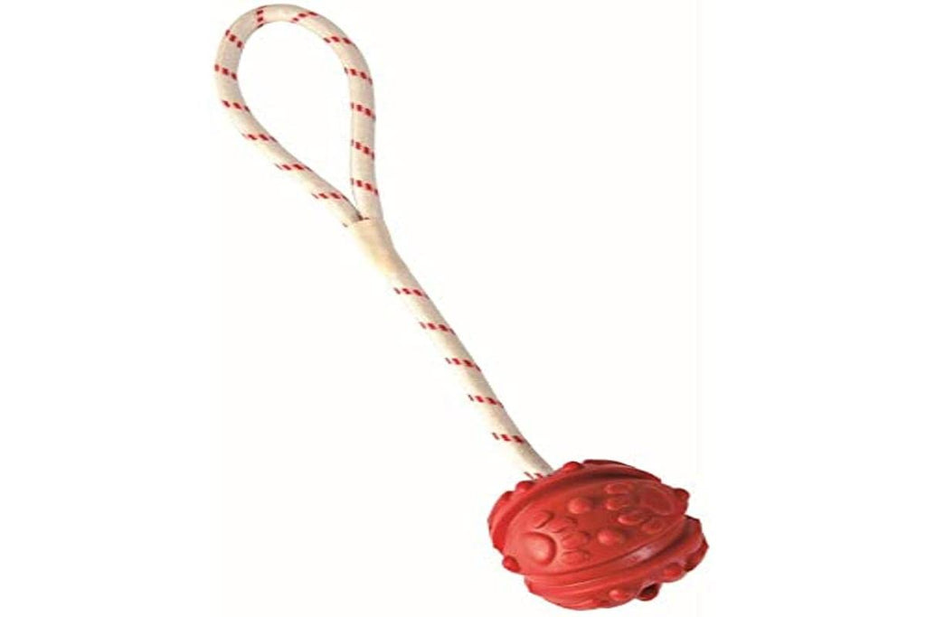 Trixie Ball on a Rope, Natural Rubber, Floats 4,5/35 cm - PawsPlanet Australia