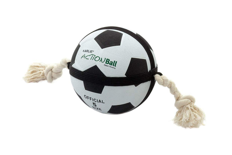 Actionballs Retreev Small 1 Count (Pack of 1) - PawsPlanet Australia