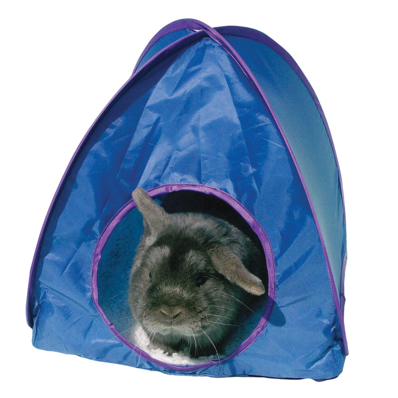 Rosewood Small Animal Activity Toy Pop-Up Tent Boredom Breaker, Assorted colors / Large - PawsPlanet Australia