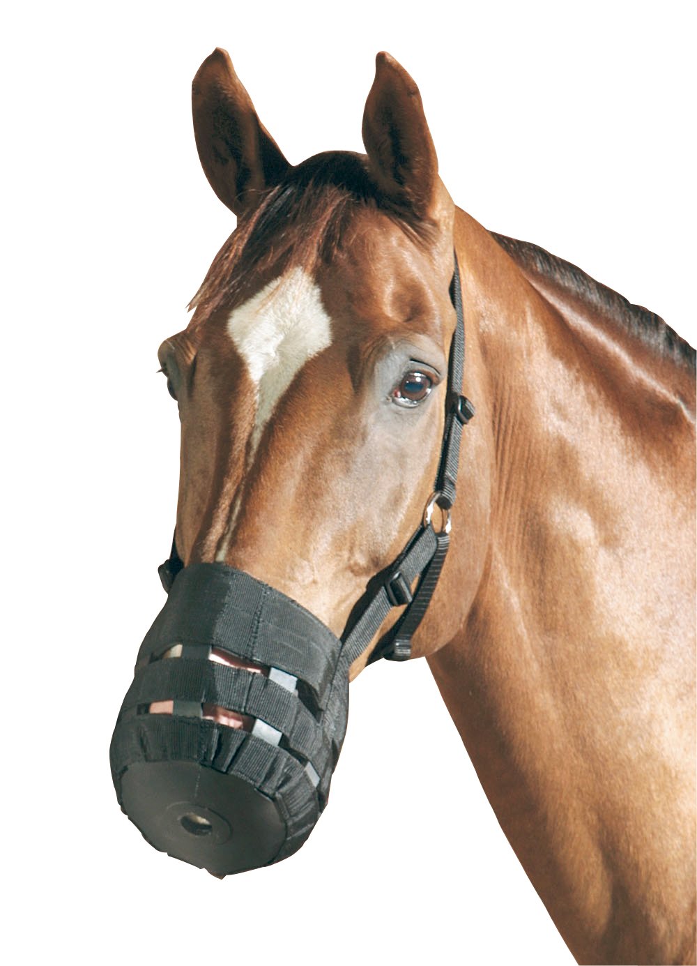 PFIFF Horse Grazing Muzzle Warmblut/Full Black - PawsPlanet Australia