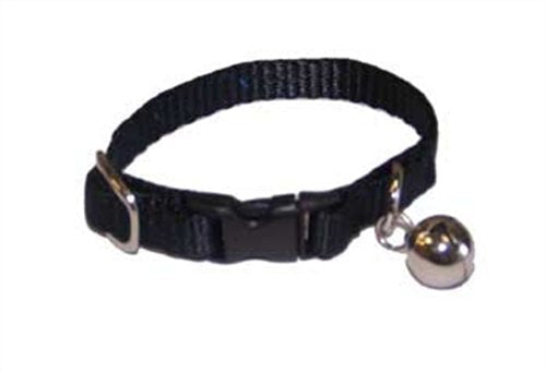Marshall Ferret Bell Collar, Black - PawsPlanet Australia