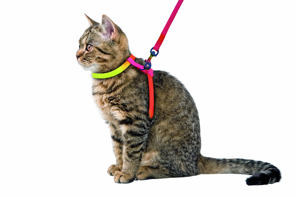 Kerbl Rainbow Harness-Set for Cats, 10 mm/ 120 cm - PawsPlanet Australia