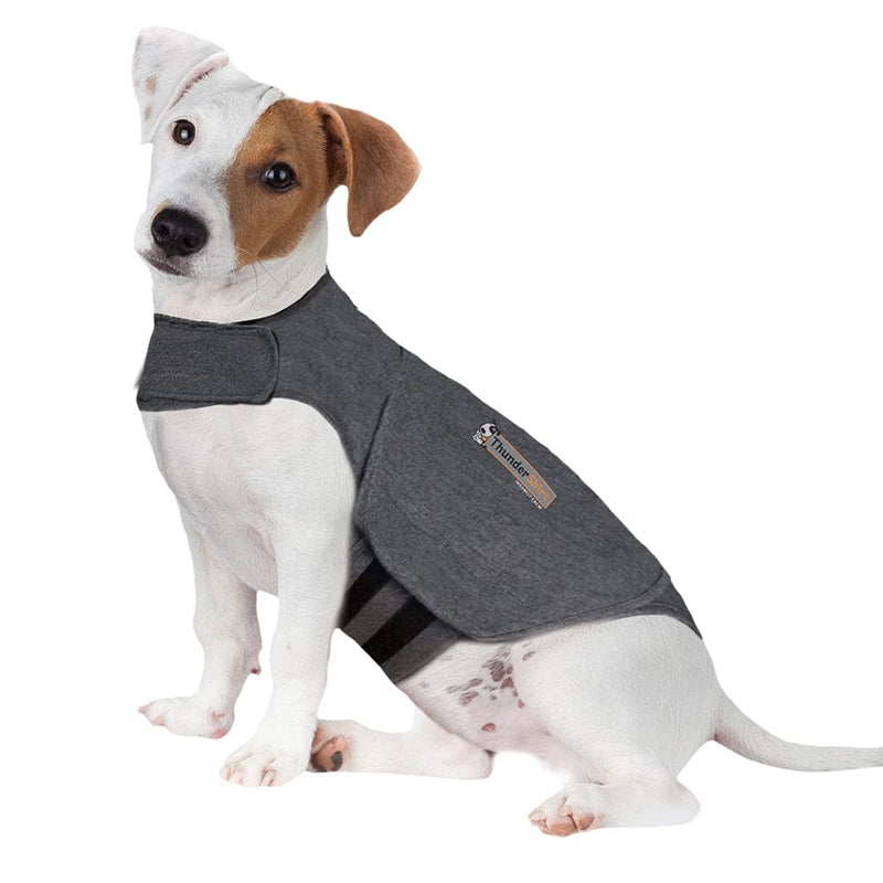 Thundershirt Anxiety Coat for Dog, S, Grey - PawsPlanet Australia