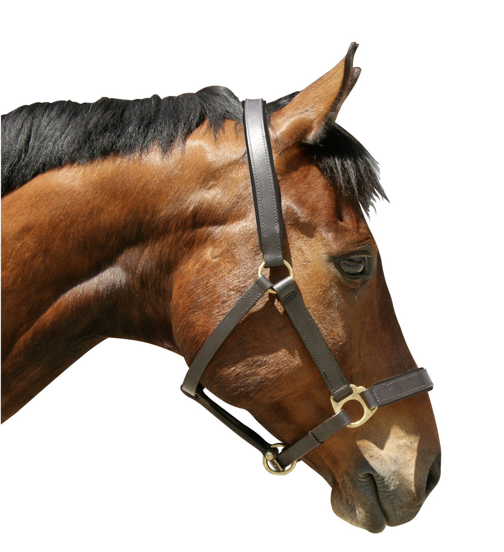 Kerbl Eco Leather Foal Halter GrÃsse 00: Fohlen Brown - PawsPlanet Australia