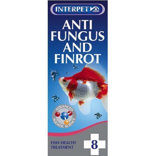 Interpet Anti Fungus and Finrot – Aquarium Treatment No. 8 1 - PawsPlanet Australia