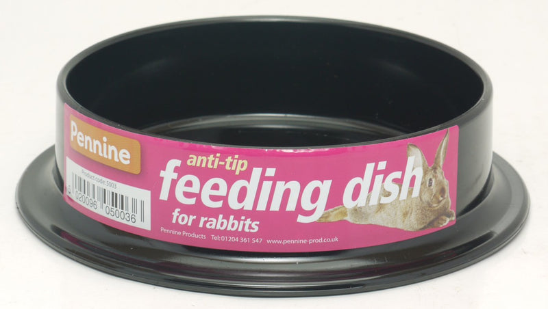 Anti Tip Rabbit Feeding Dish, Clear - PawsPlanet Australia