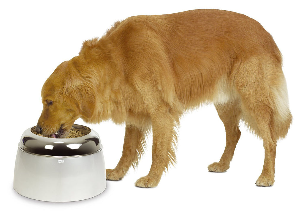 Dogit Elevated Food Bowl for Large Dogs - PawsPlanet Australia