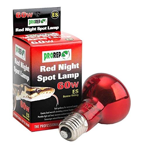 ProRep ES Spot Lamp, 60 Watt, Red Night 1 Count (Pack of 1) - PawsPlanet Australia