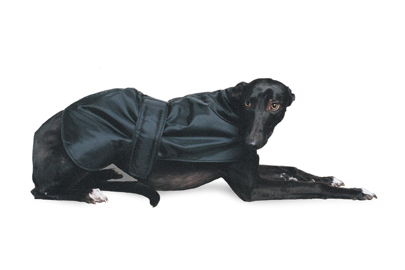 Ancol Muddy Paws Greyhound Coat Black XL. 70cm length, 66-86cm girth X-Large(70cm) - PawsPlanet Australia