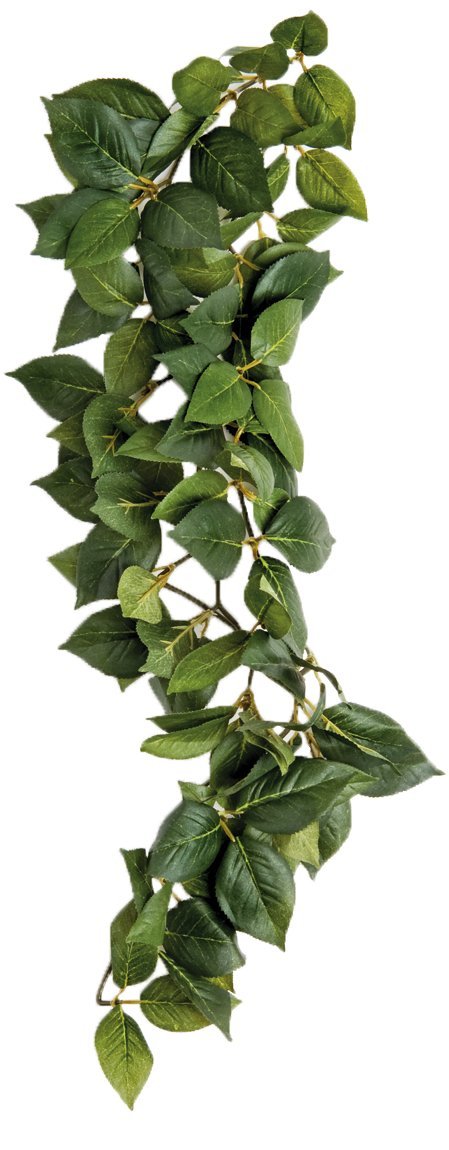 Komodo Sumatra Hanging Vine, 23 cm - PawsPlanet Australia