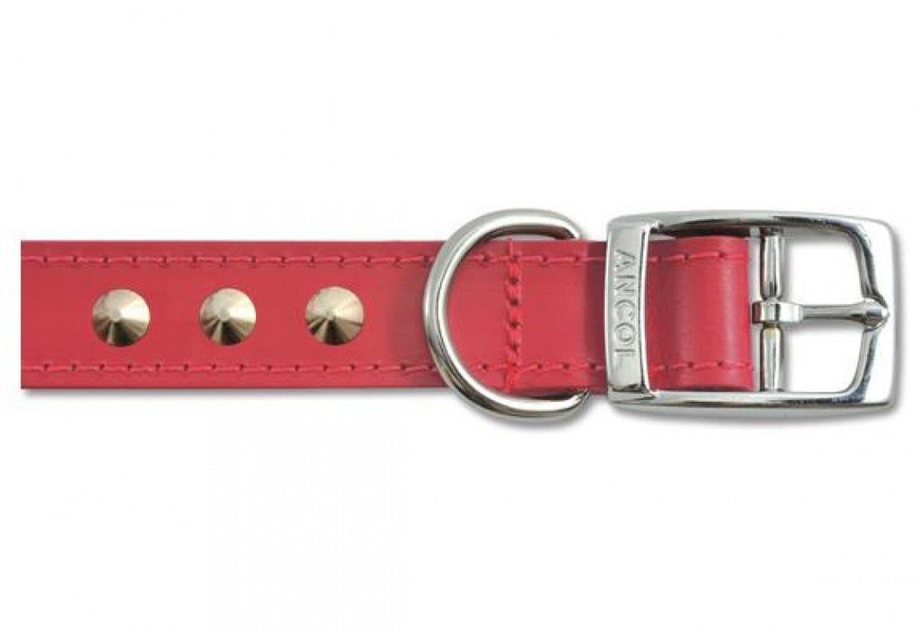 Ancol Heritage Leather Stud Collar Red 28-36cm Size 3 40 cm - PawsPlanet Australia