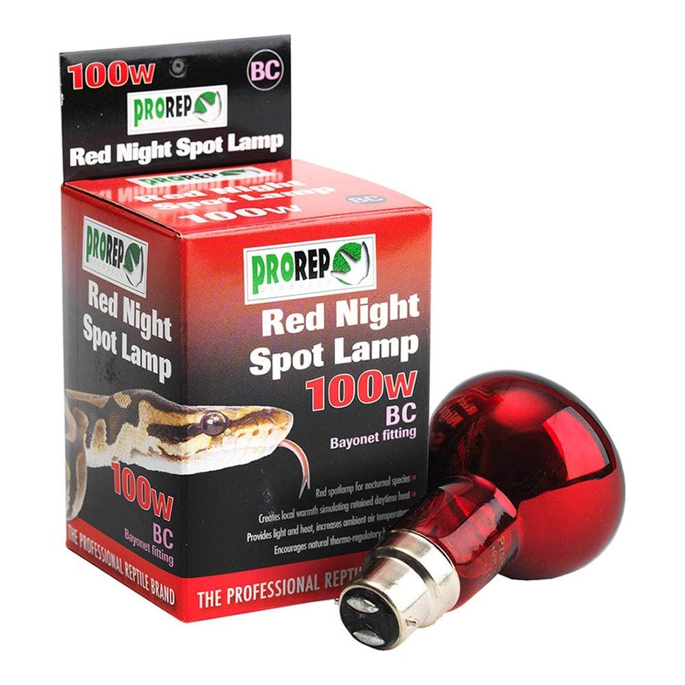 ProRep BC Spot Lamp, 100 Watt, Red Night - PawsPlanet Australia