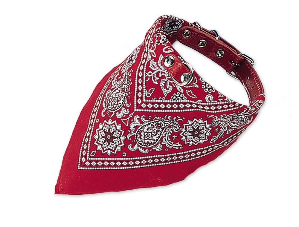 Nobby Collar with Neck Scarf, 70 cm Red - PawsPlanet Australia