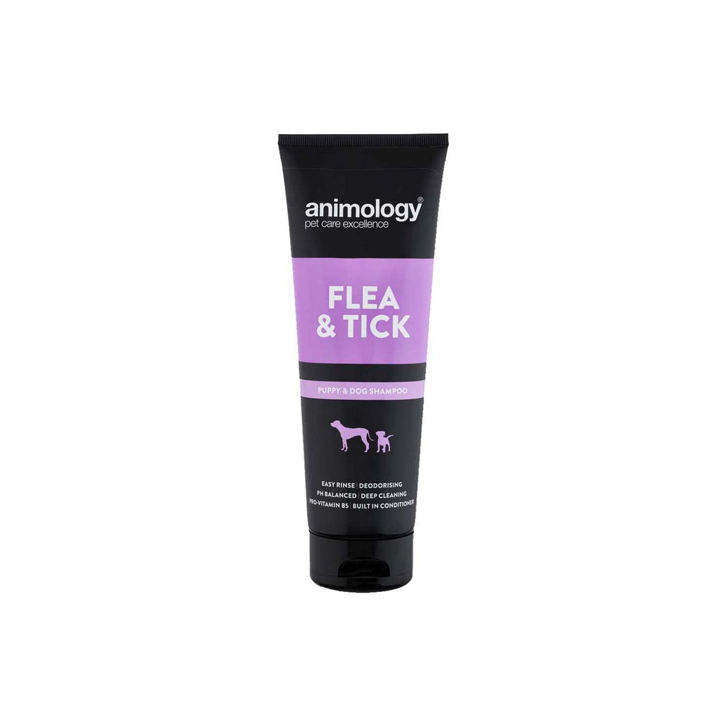 Animology Flea and Tick Shampoo For Puppies and Dogs | Medicated Tea Tree Scent | Built In Conditioner | Added Pro-Vitamin B5 | PH Balanced | Soothes Irritated Bitten skin | 250ml Pack 250 ml - PawsPlanet Australia