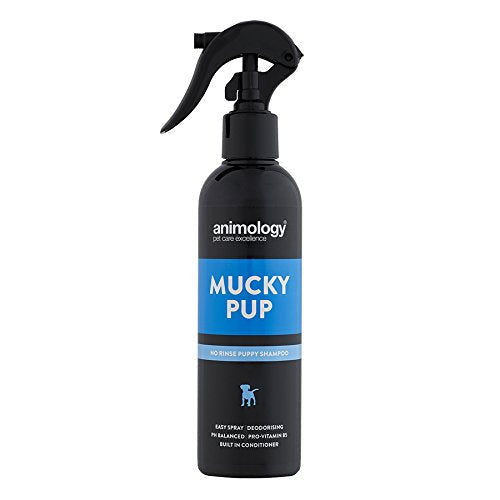 Animology Mucky Pup Shampoo  No-Rinse Dry Shampoo for Dogs  250 ml Puppy Shampoo  Removes Dirt and Foul Odours  Maintains the Health, Strength, And Condition of Your Dogs Coat 250ml 250 ml (Pack of 1) - PawsPlanet Australia