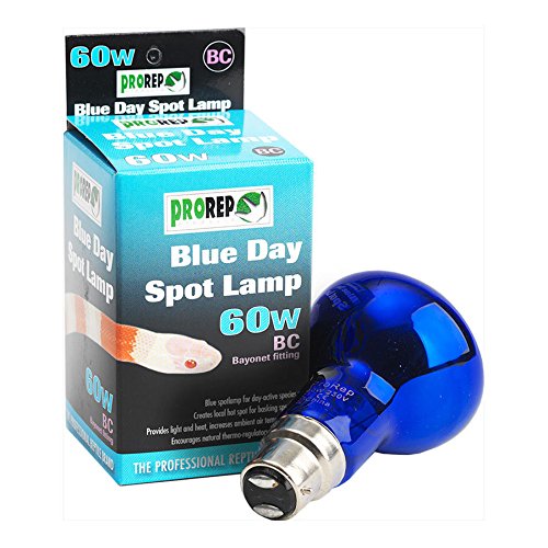 ProRep BC Spotlamp, 60 Watt, Blue Day - PawsPlanet Australia