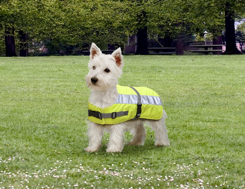 Petlife Flectalon Hi-Vis Dog Jacket Complete with Thermal Lining, 12-inch, Fluorescent Yellow - PawsPlanet Australia