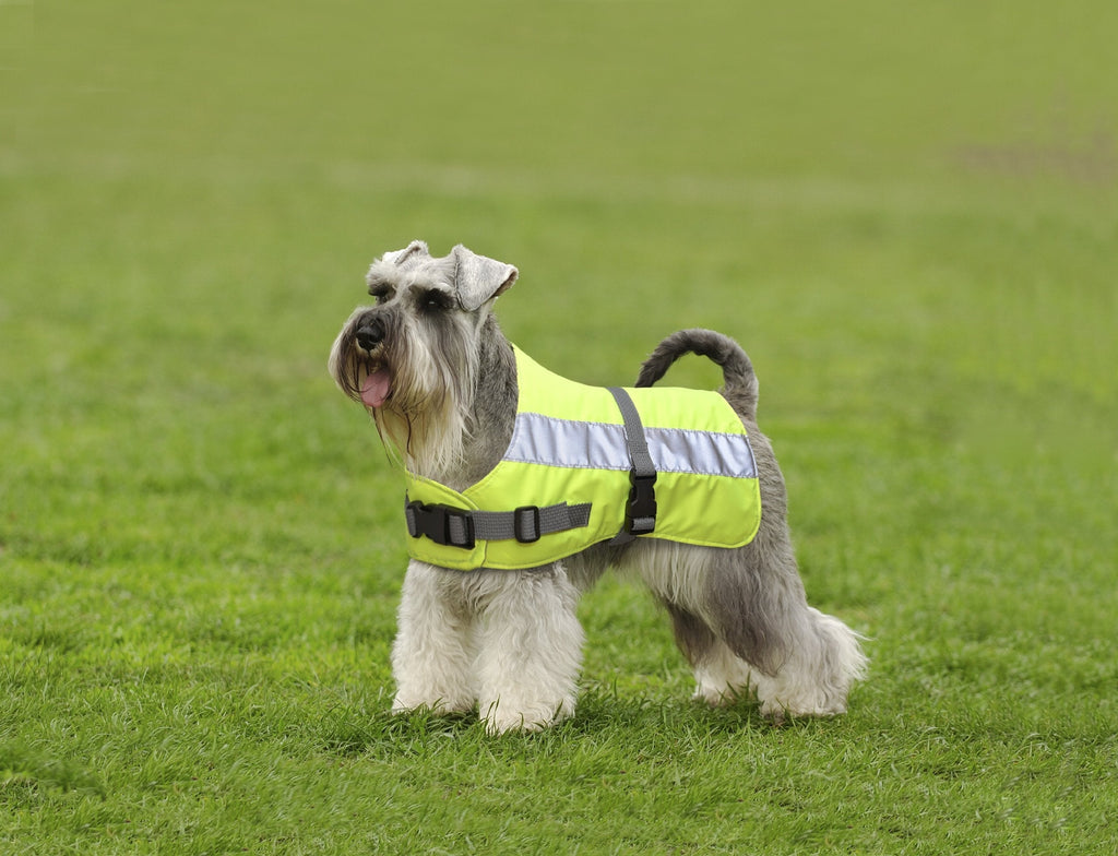 Petlife Flectalon Hi-Vis Dog Jacket Complete with Thermal Lining, 20-inch, Fluorescent Yellow - PawsPlanet Australia