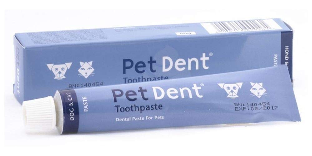 Pet Dent Toothpaste for Dogs and Cats 60g - PawsPlanet Australia