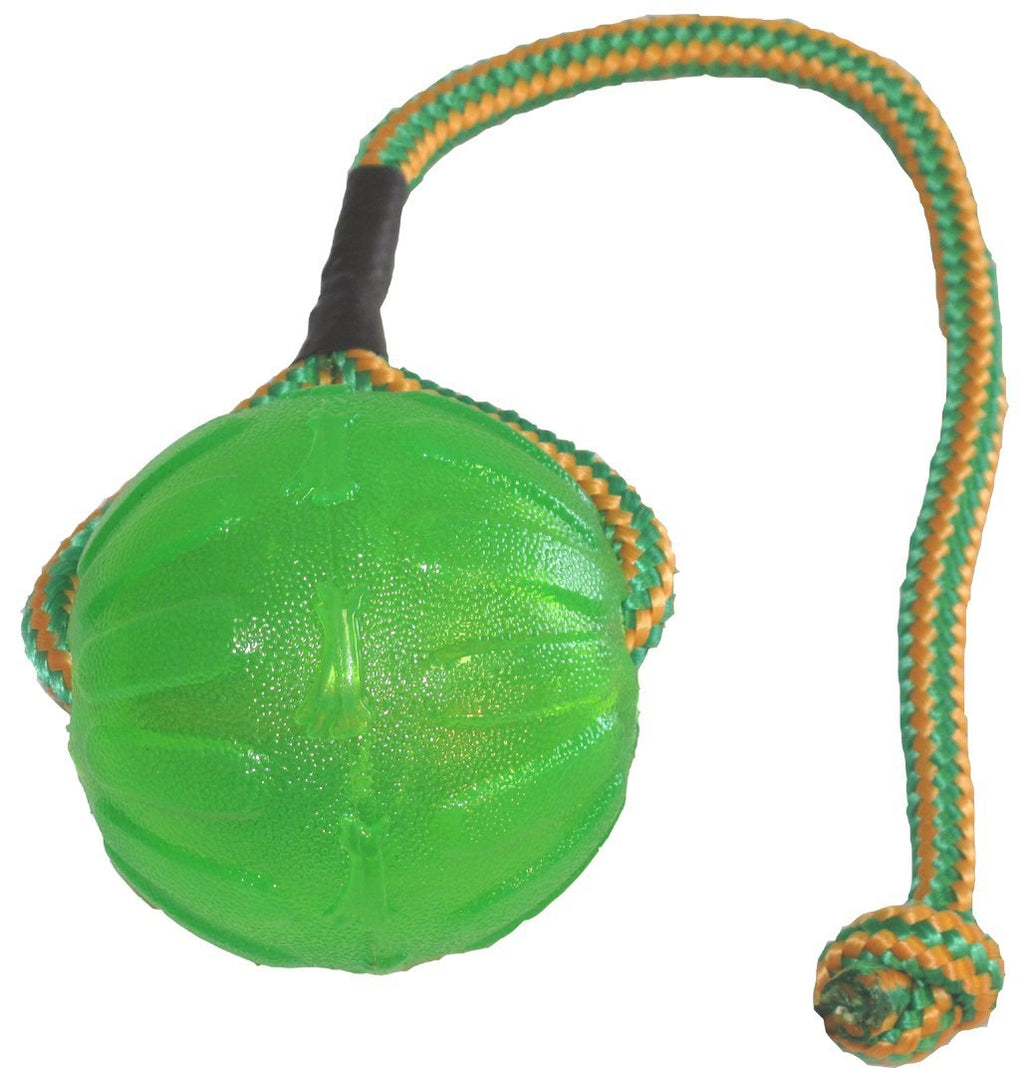 Starmark Swing and Fling Chew Ball for Dogs - PawsPlanet Australia