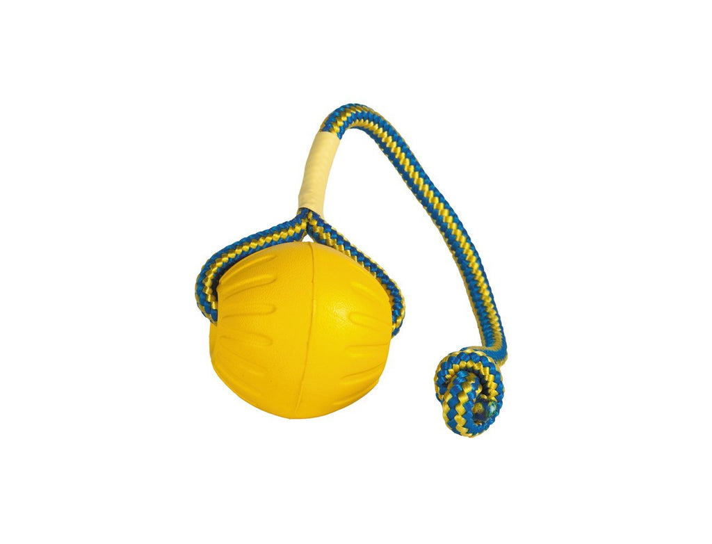 Starmark Swing N Fling Durafoam fetch ball Dog Toy, Large - PawsPlanet Australia