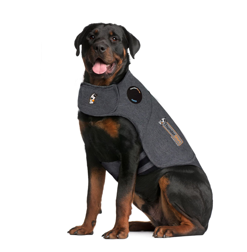 Petlife Thundershirt Anxiety Coat for Dog, Grey (Heather Grey), XXL XX-Large ( > 110 lbs) Jacket Only - PawsPlanet Australia