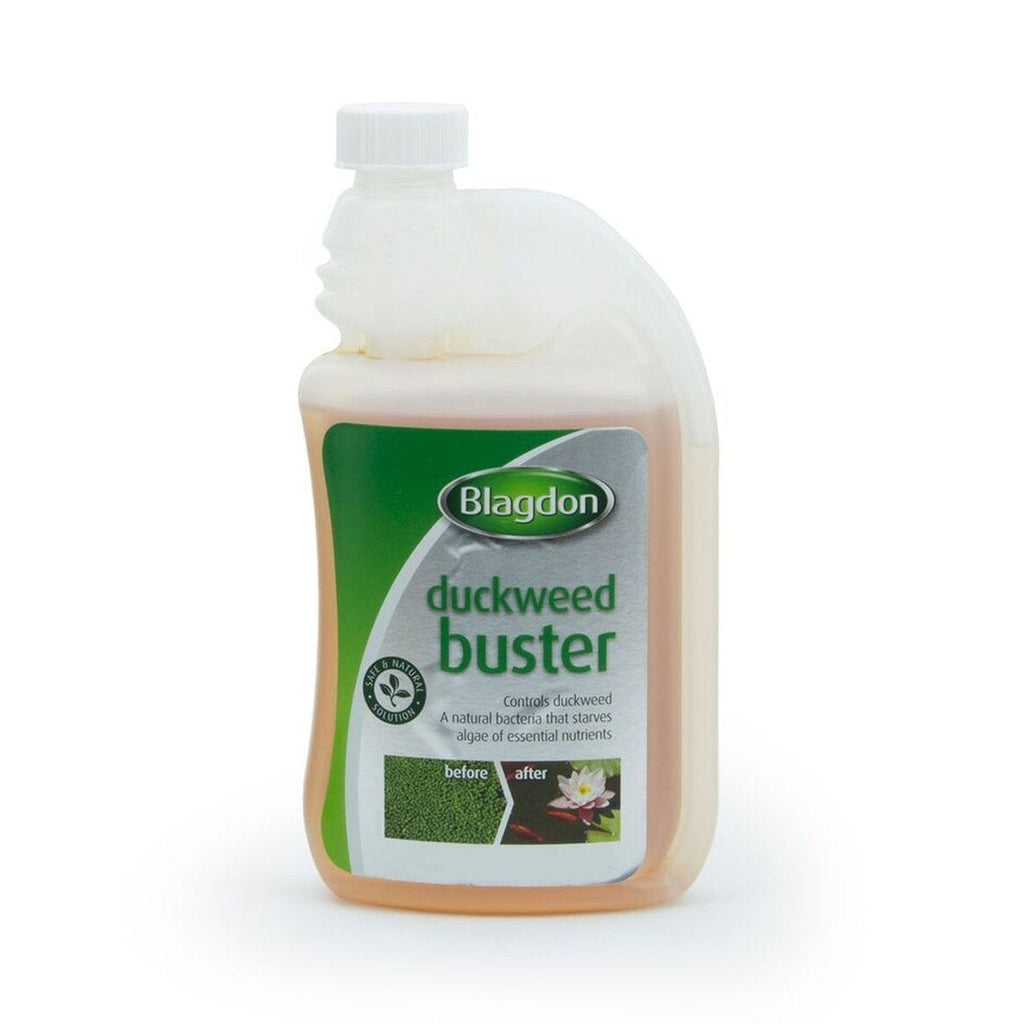 Blagdon 2766 Pond Duckweed Buster, Controls Duckweed, Safe and Natural, 1L, Treats 9,092 Litres of Pond Water 1 litre - PawsPlanet Australia