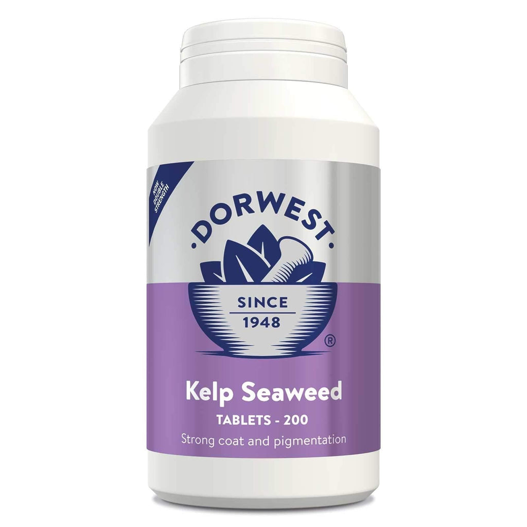 DORWEST HERBS Kelp Seaweed Tablets for Dogs and Cats 200 Tablets - PawsPlanet Australia