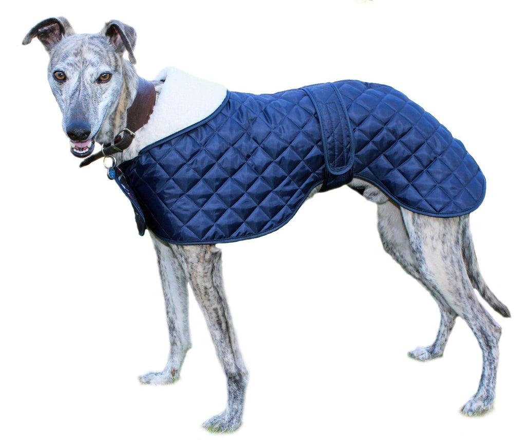 Cosipet Greyhound Anorak, 16-inch/ 41 cm, Blue 16-inch/41 cm - PawsPlanet Australia