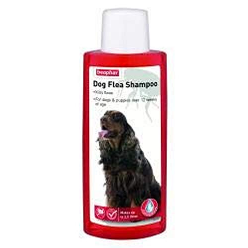 Beaphar Dog Flea Shampoo, 250 ml - PawsPlanet Australia