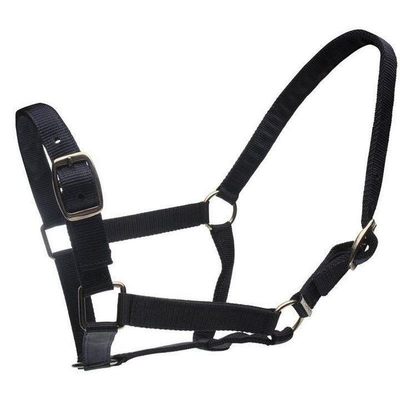 Roma Headcollar and Lead Set - Black Full - PawsPlanet Australia