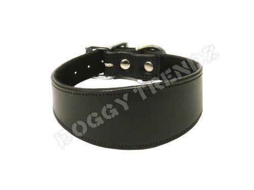 Avon Pet Products Whippet Greyhound Leather Padded Dog Collar, 16-Inch, Black - PawsPlanet Australia