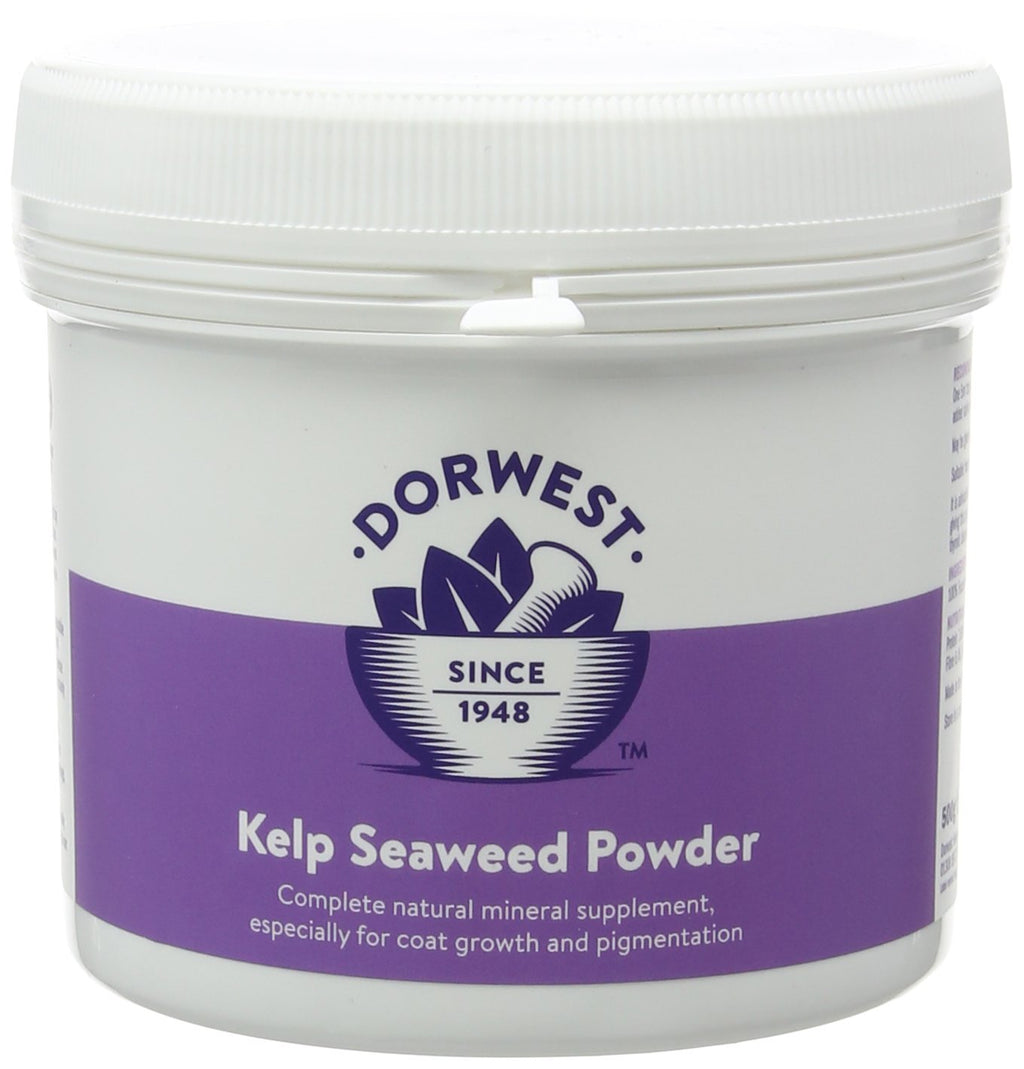 DORWEST HERBS Kelp Seaweed Powder for Dogs and Cats 500g - PawsPlanet Australia
