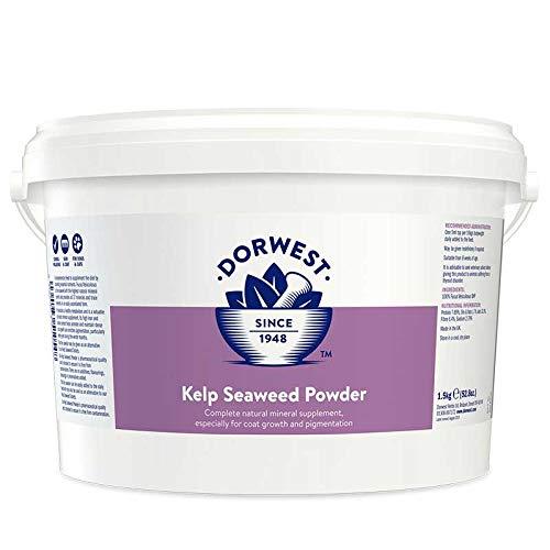 DORWEST HERBS Kelp Seaweed Powder for Dogs and Cats 1.5kg - PawsPlanet Australia