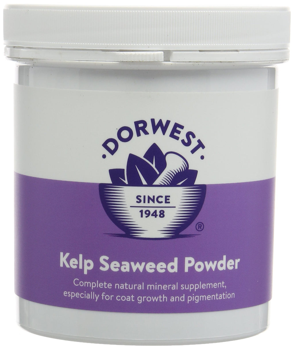 DORWEST HERBS Kelp and Seaweed Powder for Dogs and Cats 250g - PawsPlanet Australia