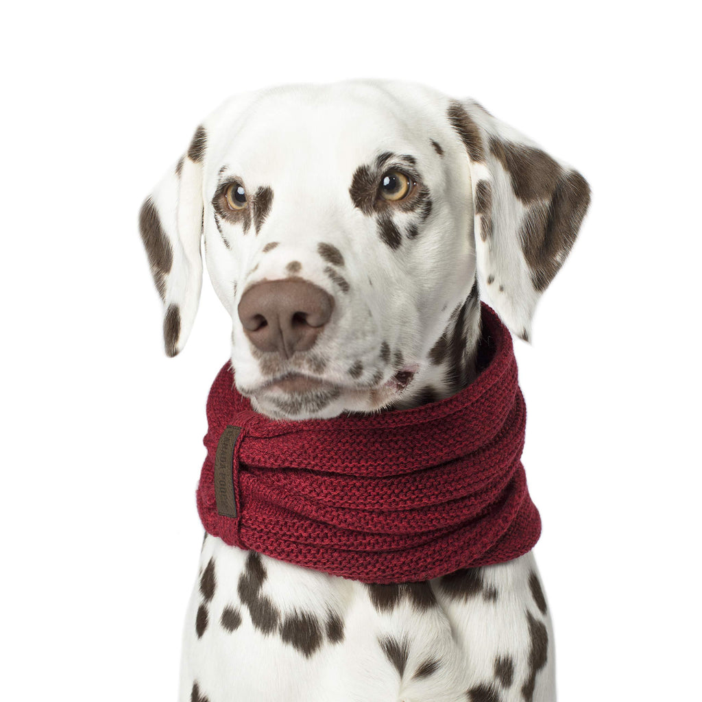 Canada Pooch | Sierra Dog Scarf | Pullover Knitted Dog Scarf Medium Maroon - PawsPlanet Australia