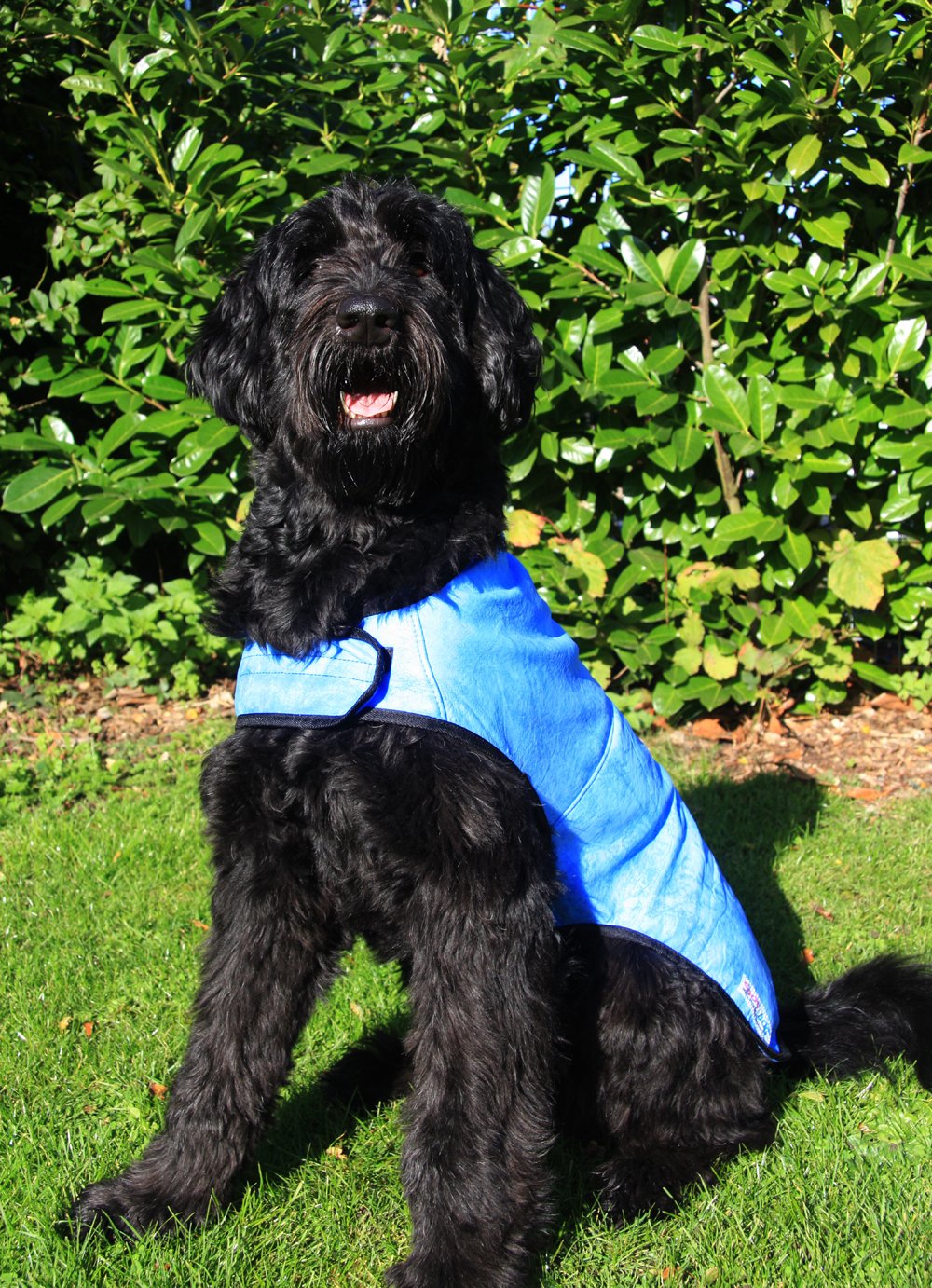 Prestige Cool Coat for Dogs, L, Blue - PawsPlanet Australia