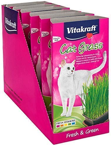 Vitakraft Cat Grass Seed Kit Wheatgrass for Pet, Grow Indoor Treat in Tray 120 Gram (Pack of 6) - PawsPlanet Australia