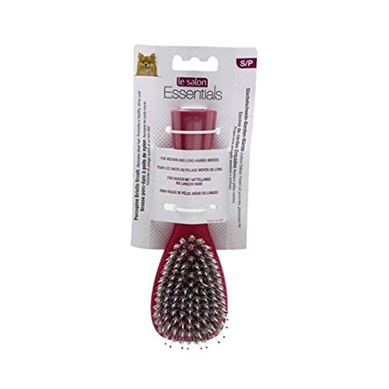 Le Salon Essentials Porcupine Bristle Dog Brush, Small S - PawsPlanet Australia