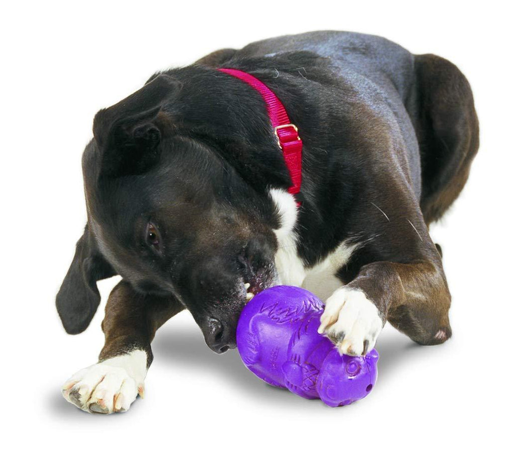 Busy Buddy Squirrel Dude, Interactive Treat Dispensing Dog Toy - Chew Toy, Large Dogs Purple - PawsPlanet Australia