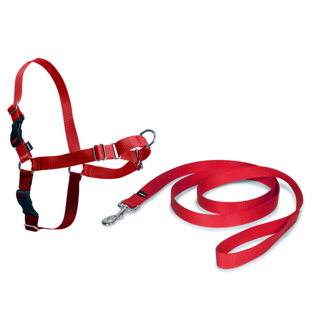 PetSafe Easy Walk Harness for Small/Medium/Large Dogs, Medium, Red, 1.8 m Lead - PawsPlanet Australia