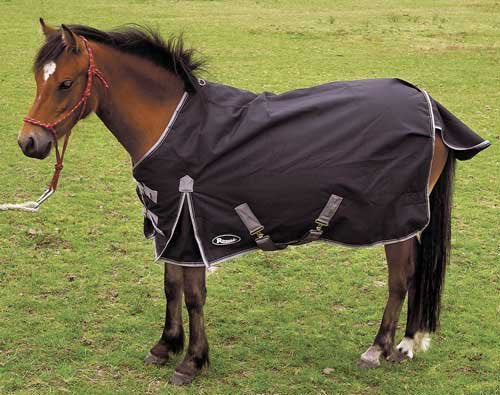 Rhinegold Konig small Pony/Foal Outdoor Horse Turnout Rug Black/Grey 3 6 - PawsPlanet Australia