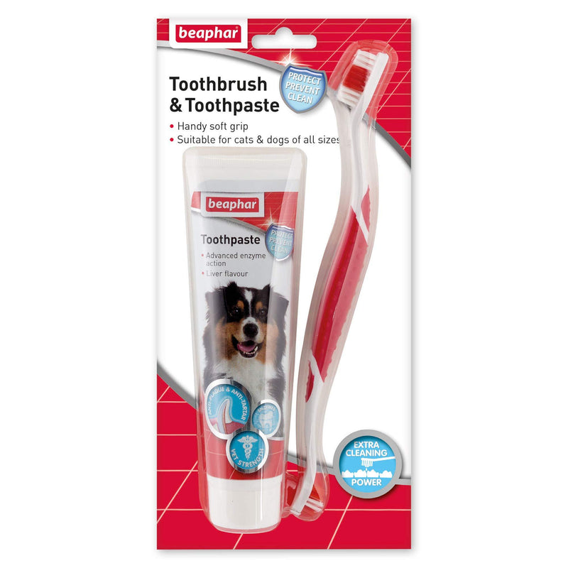 Beaphar Toothbrush and Toothpaste Kit, 100g - PawsPlanet Australia