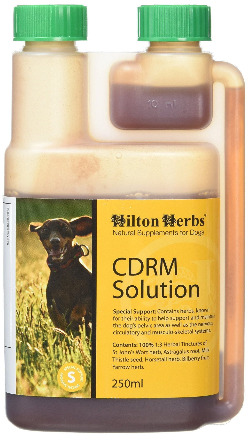 Hilton Herbs Canine CDRM - Neurological Support Formula 250 ml - PawsPlanet Australia