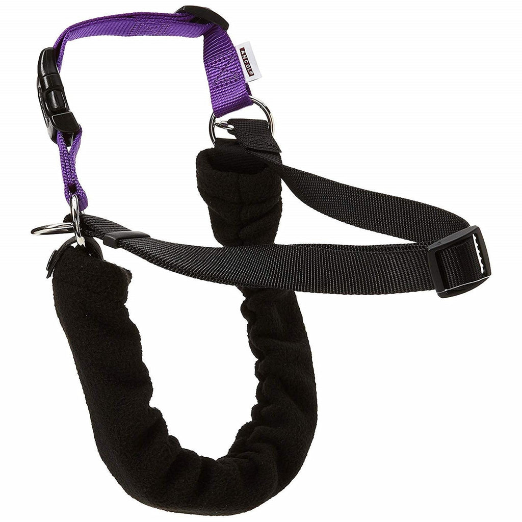 Ancol/Pure Dog Listeners - Stop Pulling Dog Training Harness & Lead Set - Small Size 3-4 (inc DVD) Small Size (3-4) - PawsPlanet Australia