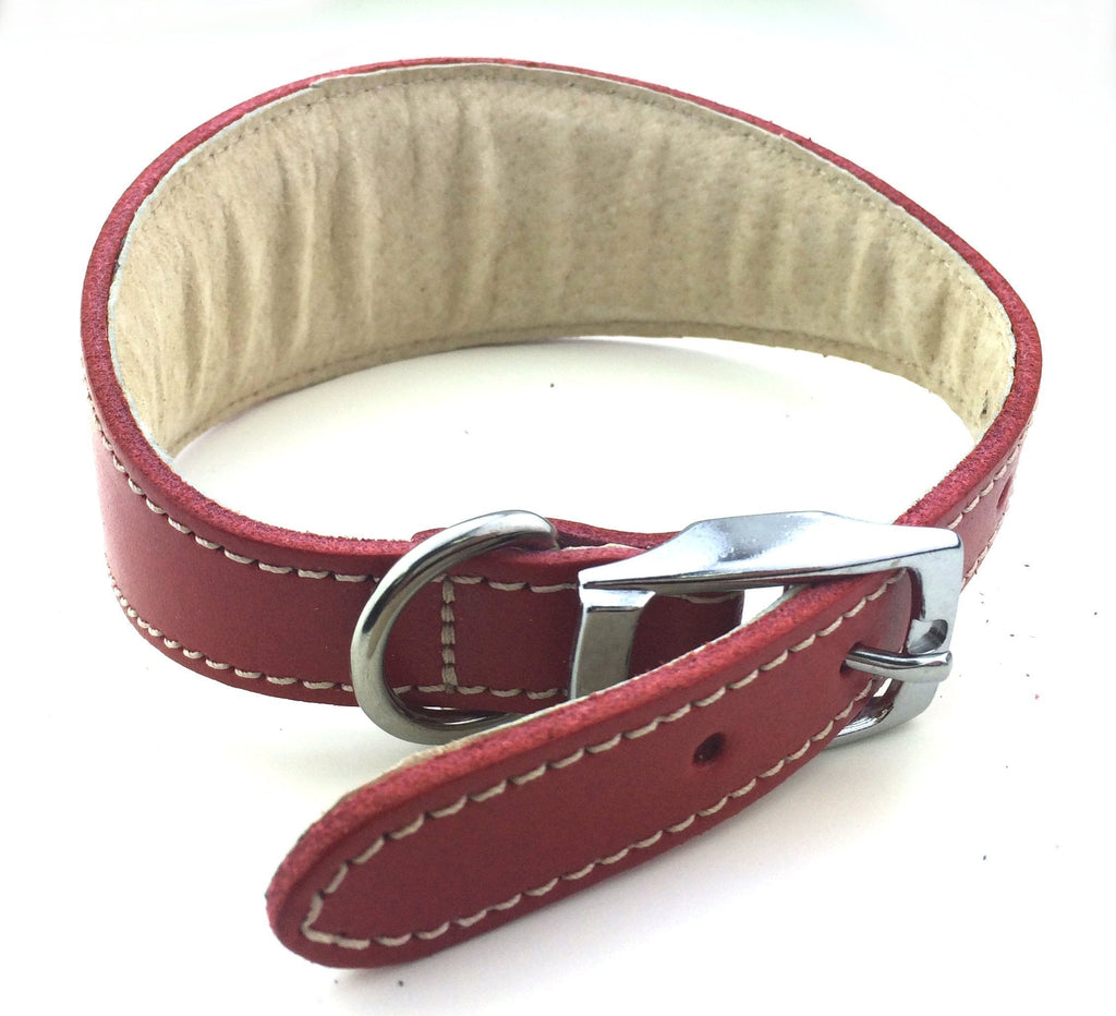 BBD Whippet Deluxe Collar, Red - PawsPlanet Australia