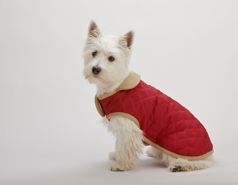Dog Gone Smart Suede Quilted Belly Coat Red - 51cm (20") - PawsPlanet Australia