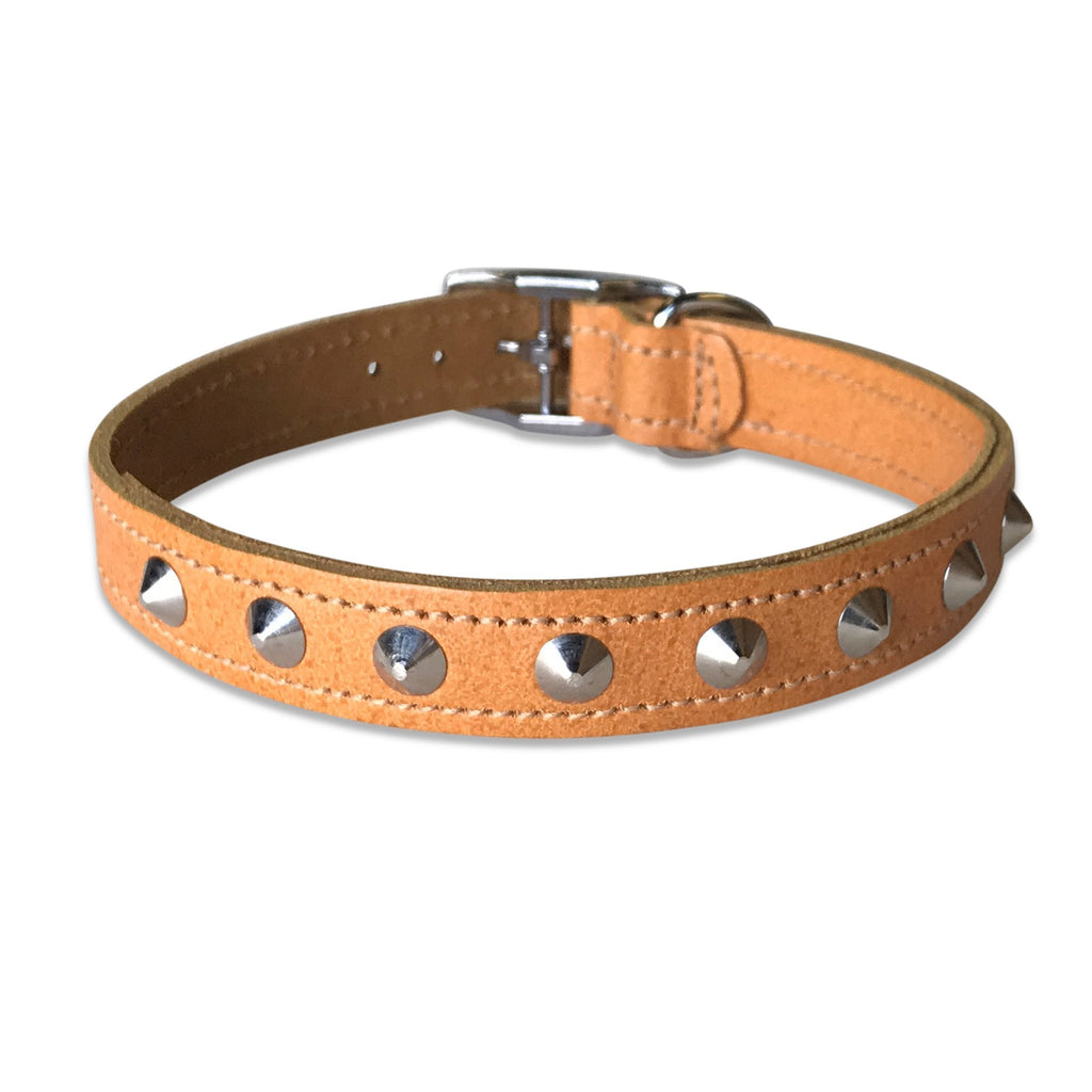 BBD 14-16-inch Studded Leather Collar, Tan - PawsPlanet Australia